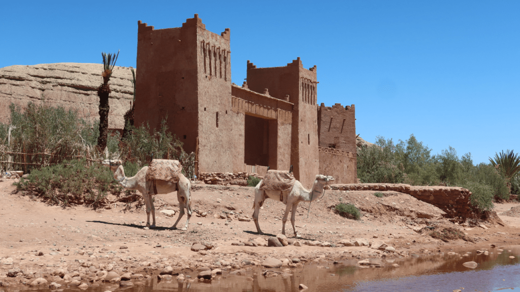 Three-Day Sahara Desert Tour: What to&nbsp;Expect